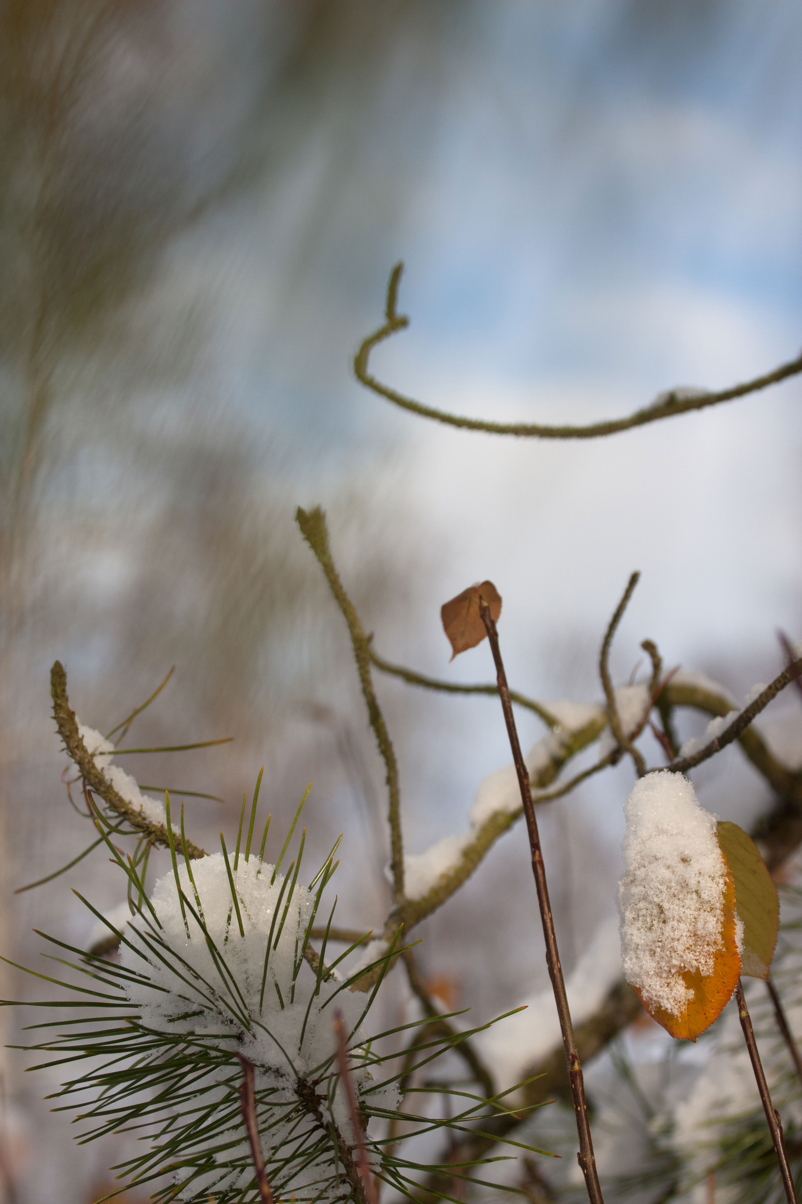20121026_11-25-36