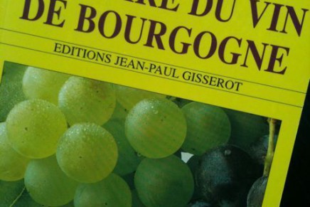 Livre : Histoire du vin de bourgogne by Jean-François Bazin
